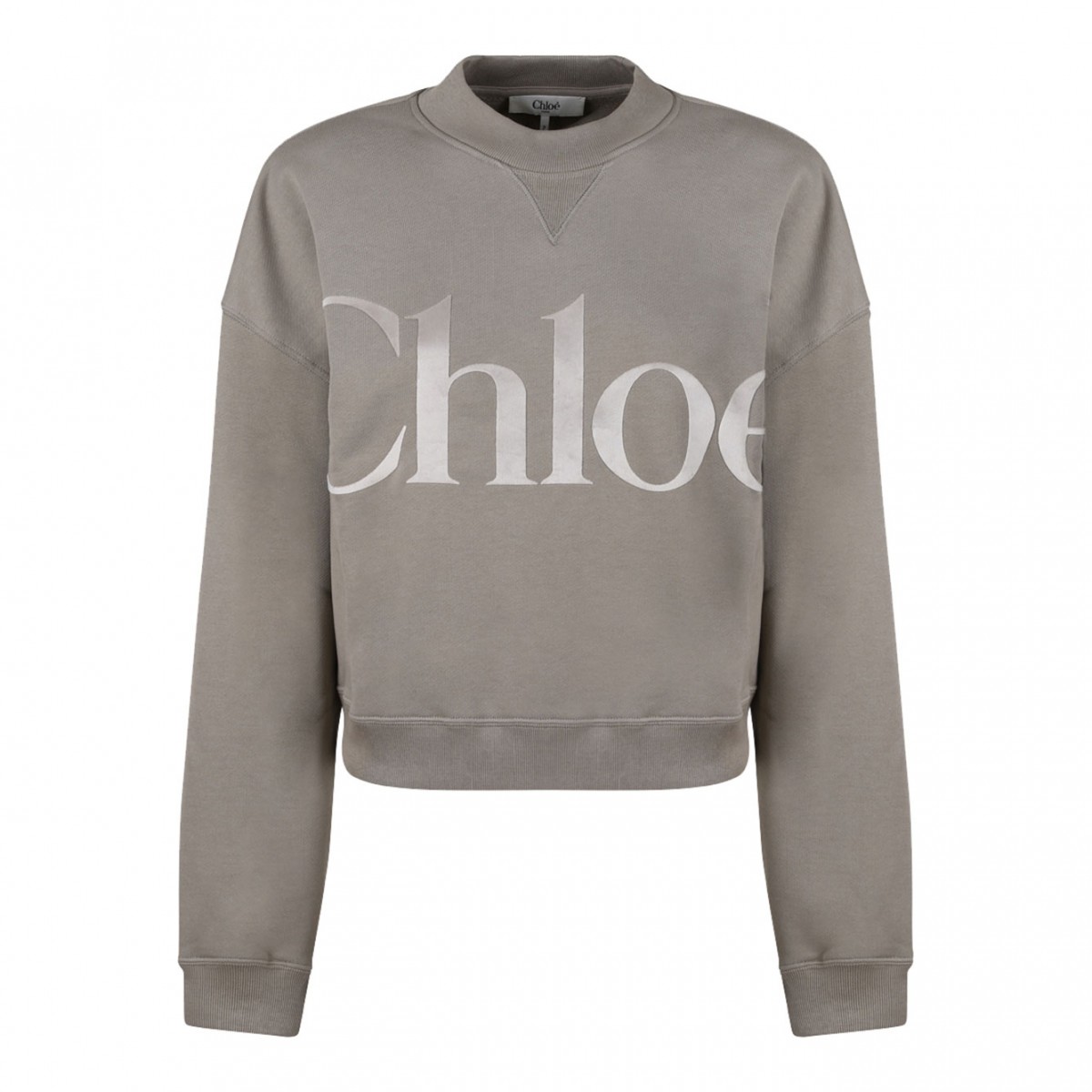 Grey Logo Print Sweatshirt