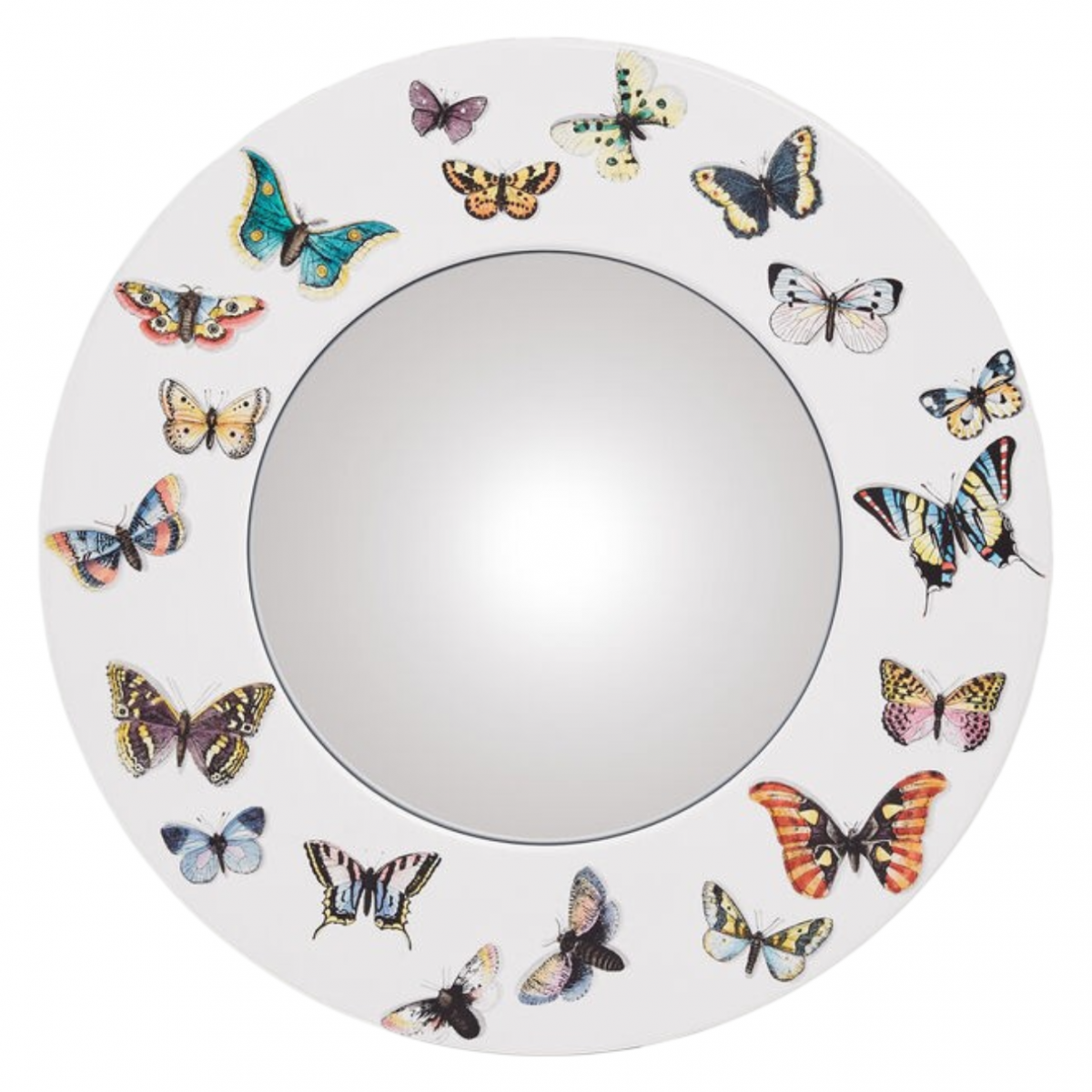 Frame With Curved Mirror Butterflies