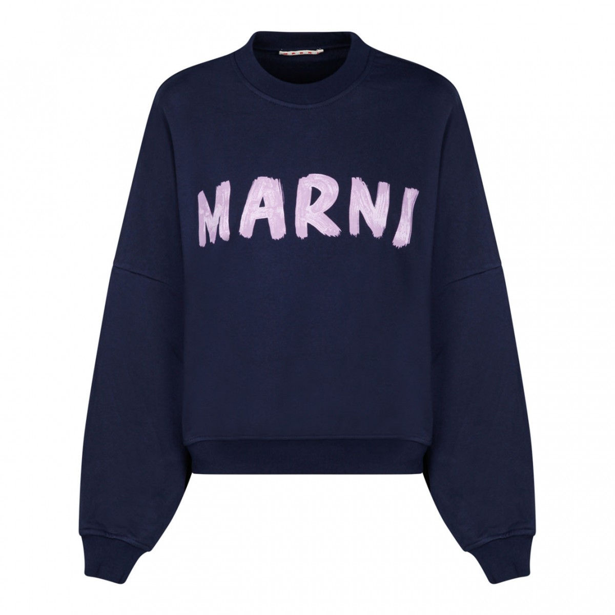 Blue Logo Print Sweatshirt