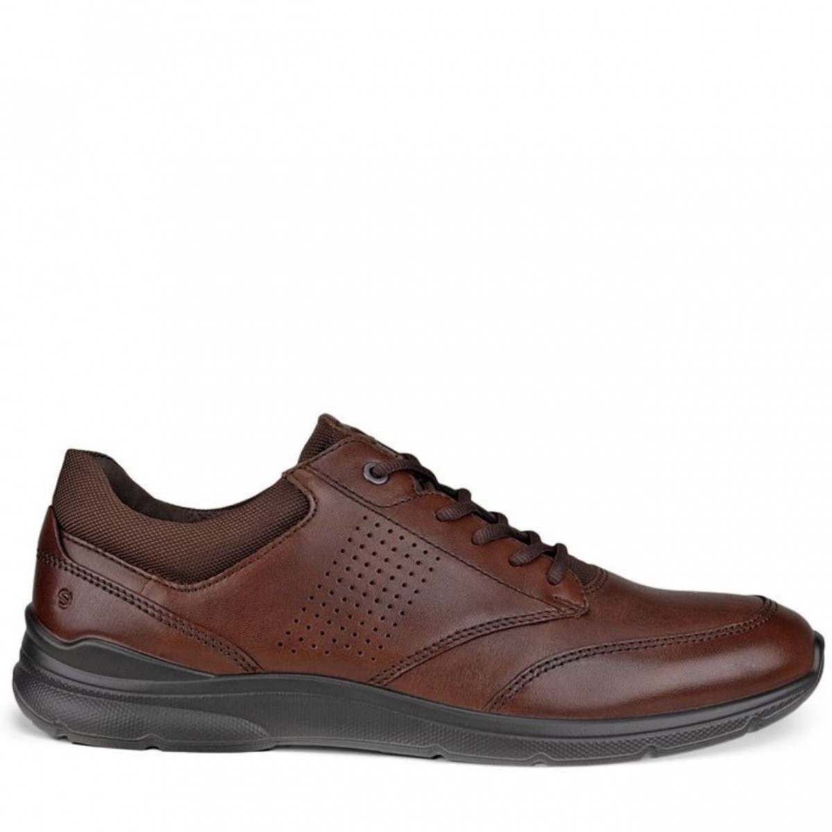 Brown Irving Sneakers