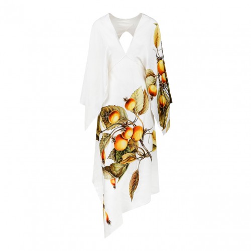 Ferragamo Printed Dress